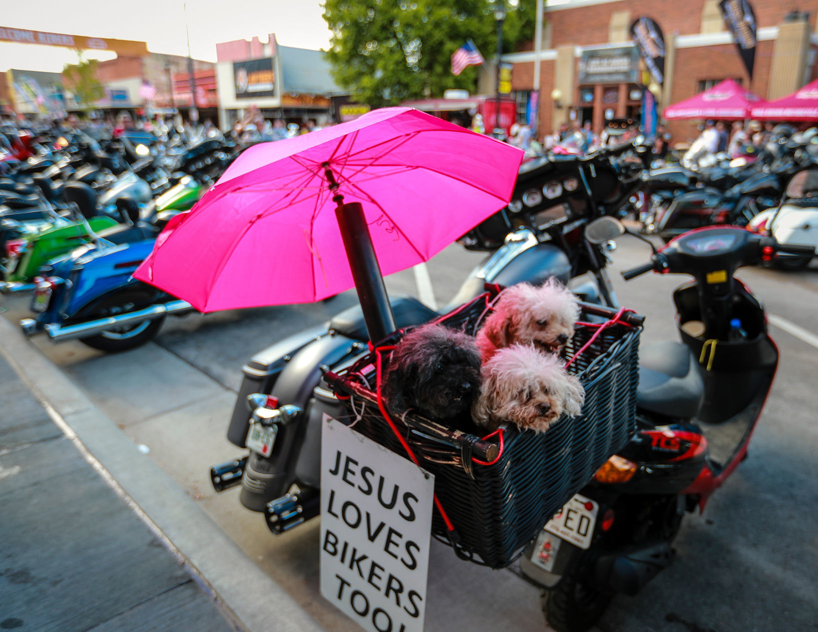 Sturgis Day Two